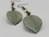 Follow the Light Leaf Earrings in Duck Egg + Brass